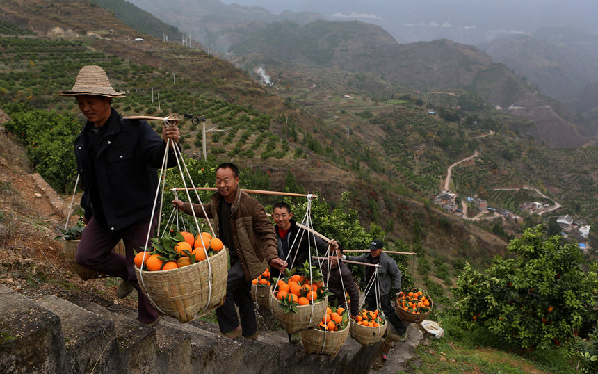 �����ѽ�(j��ng)�ɞ���ɽ�����¸��ġ�����������R�ȑc�z