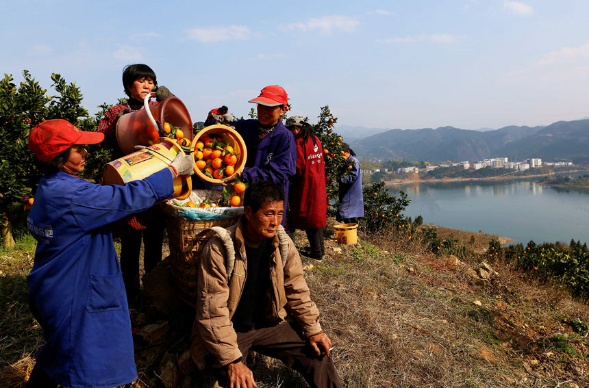 �����ѽ�(j��ng)�ɞ���ɽ�����¸��ġ�����������R�ȑc�z