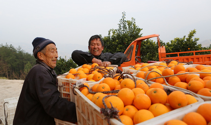 �����ѽ�(j��ng)�ɞ���ɽ�����¸��ġ�����������R�ȑc�z