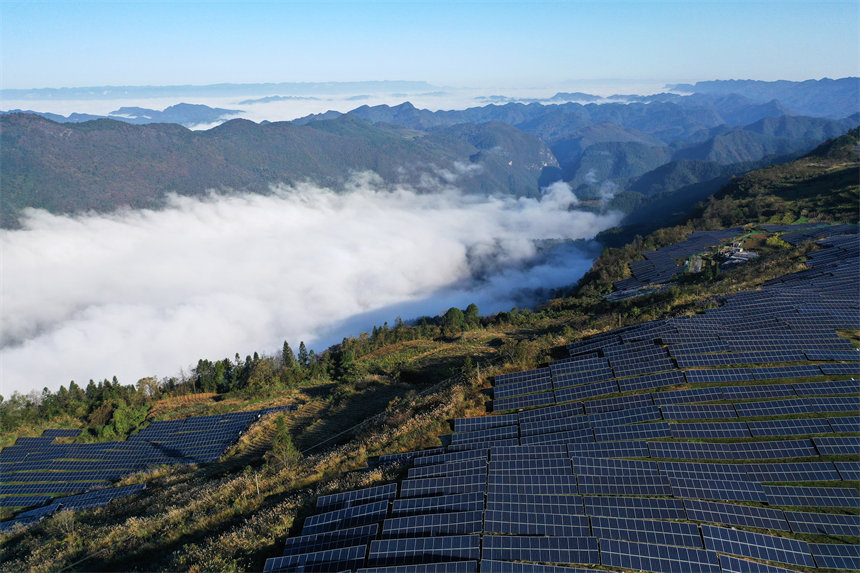 ǭ���^(q��)�����wɽ���������漰4���壬����l(f��)����s1�|���������z