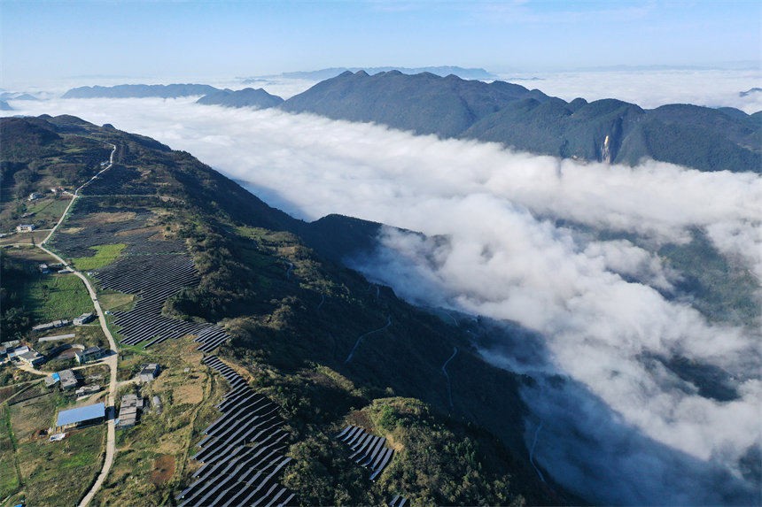 ǭ���^(q��)�����wɽ���������漰4��(g��)��������l(f��)����s1�|���������z