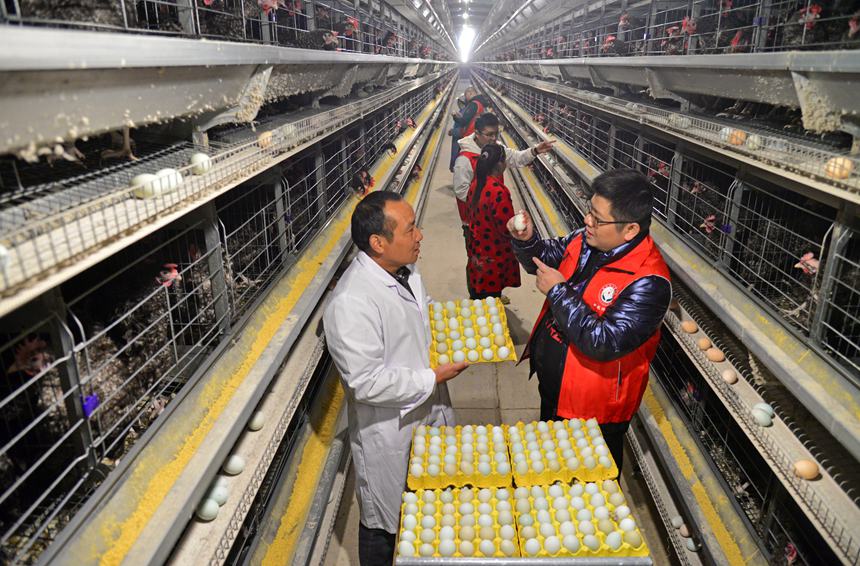 �Ƽ����ɆTָ��(d��o)�J���u�B(y��ng)ֳ���g(sh��)�������S�z