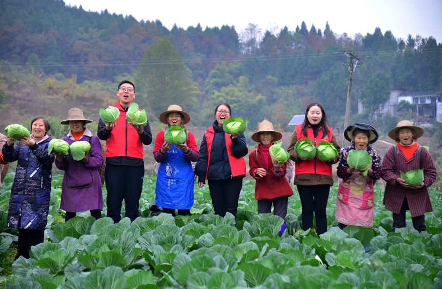 �Ƽ����ɆTָ��(d��o)�Nֲ�İײ�ӭ���S���������S�z