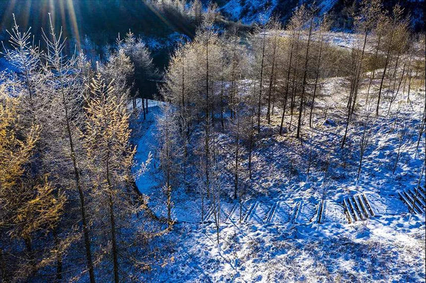 ѩԭ�Fڡ�^���L(f��ng)��������(qi��ng)�z