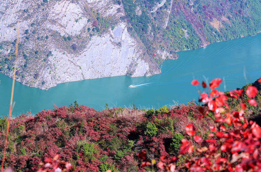 �ؑc����ɽ�h�L���ɰ��ļt�~��ɽ��Ұ���������ա��R�ȑc�z