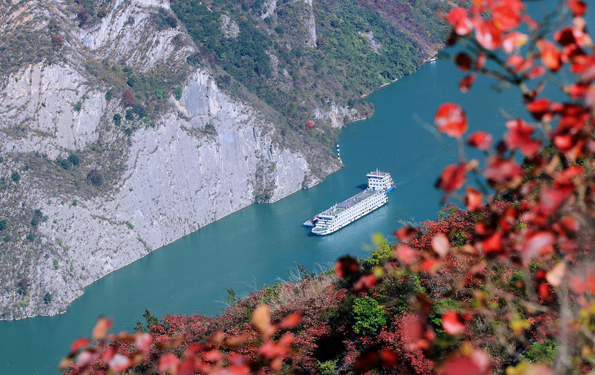 �ؑc����ɽ�h�L���ɰ��ļt�~��ɽ��Ұ�������������R�ȑc�z