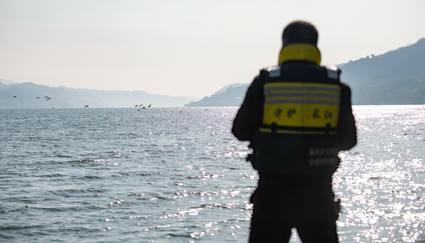 �o�O꠆T���L���ֶ�Ѳ߉��Ƚ��܊�z