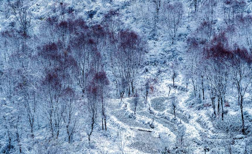 ѩ��ɽ�l(xi��ng)�q��ˮī����������z