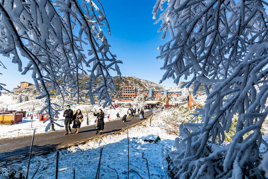 �ο��ڽ��ɽ��ѩ���M����ѩ��Ȥ��������z