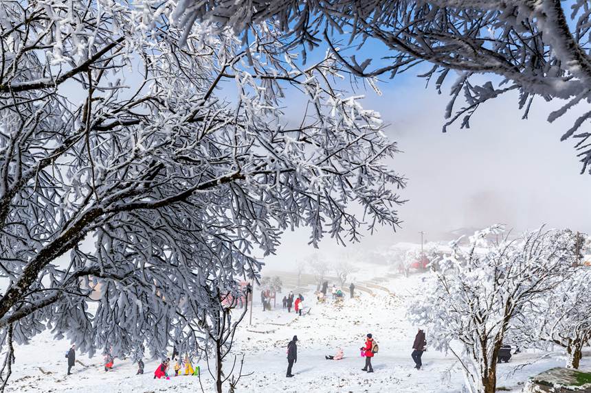 �ο��ڽ��ɽ��ѩ���M����ѩ��Ȥ��������z