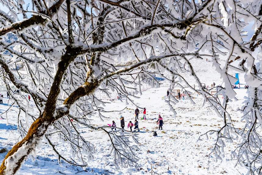 ���ɽ���^(q��)�y�b�ع���һ�ɱ����L����������z