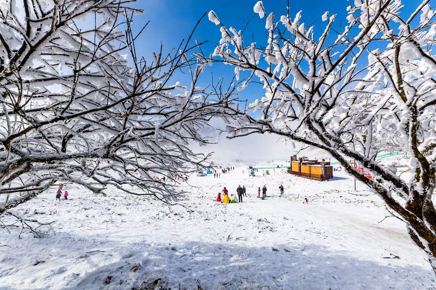 ���ɽ���^(q��)�y�b�ع���һ�ɱ����L(f��ng)����������z