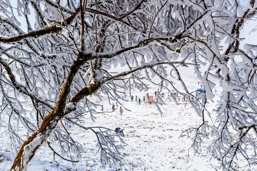 ���ɽ���^(q��)�y�b�ع���һ�ɱ����L(f��ng)�⡣������z