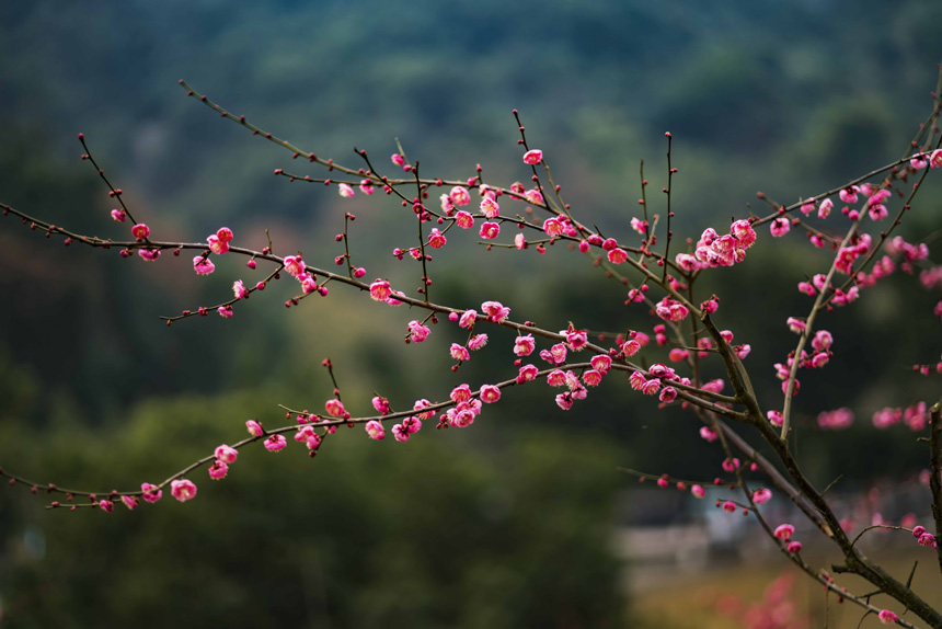 �t÷�����`�ţ��o�oጷų�������Ƣ�ķ��㡣�S�M(j��n)�z