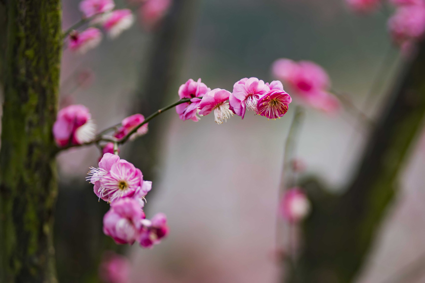 �t÷�����`�����o�oጷų�������Ƣ�ķ������S�M�z