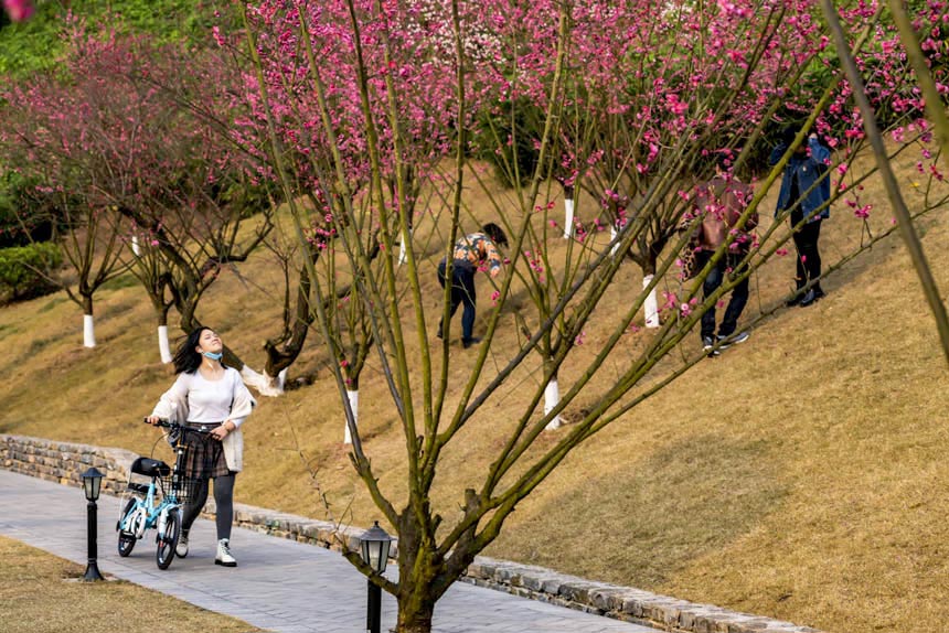 ����������������������������ĕ��������S�M(j��n)�z