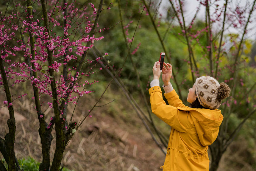 �ο����֙Cӛ���������R�Ĵ��������ܶ������Õr�����S�M�z