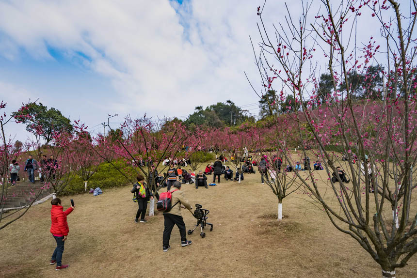 ����ɽ����������������˲�����������p�����档�S�M�z