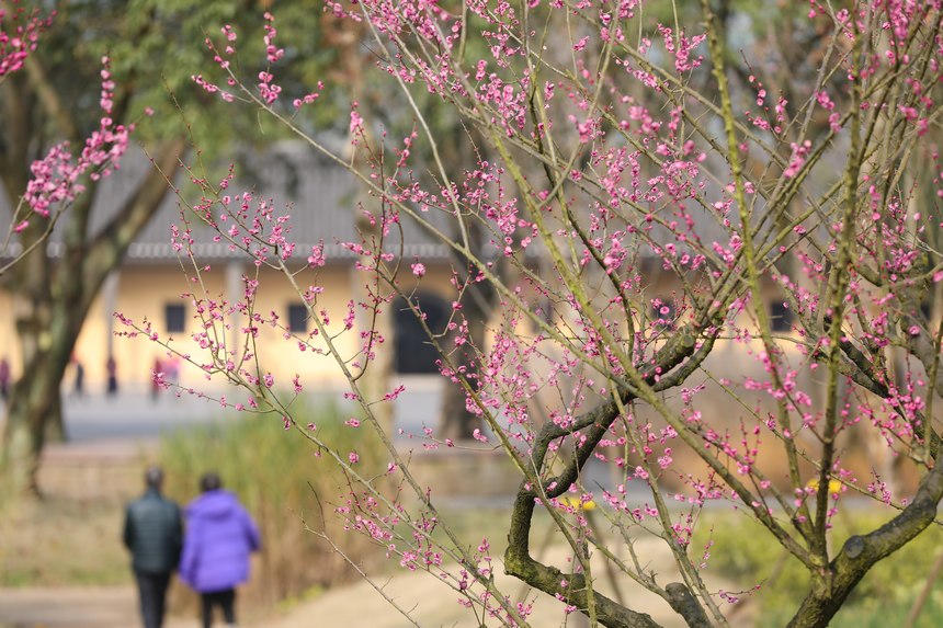 �Vꖍu÷���`�����o�򴺁����ؑc��(j��ng)�_�^(q��)���D