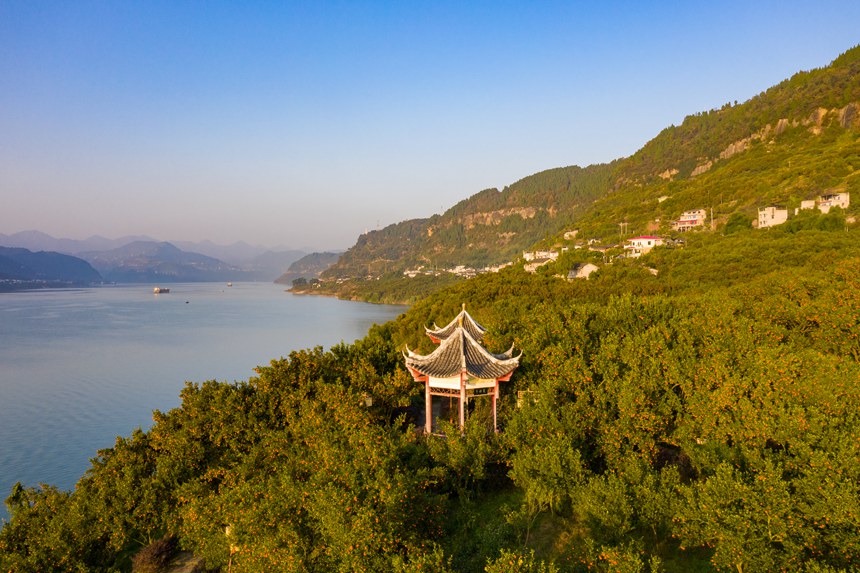 ������̎���L(f��ng)�����s�v���z