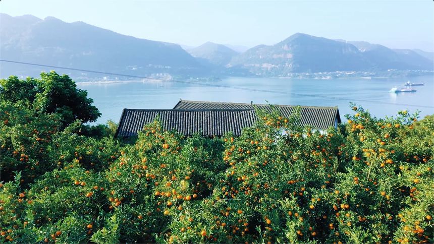 �t�ْ�M֦���s�v���z