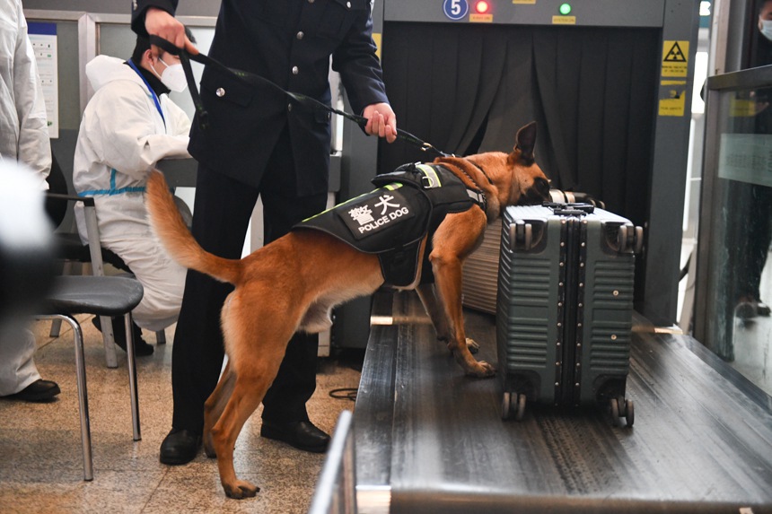 �ؑc�F·����̎�ľ�Ȯ���ؑc��վ���V���ѱ����_�����\(y��n)��ȫ���u���z