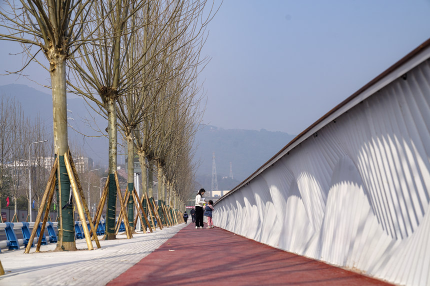 ���������е���ɢ������͢���z