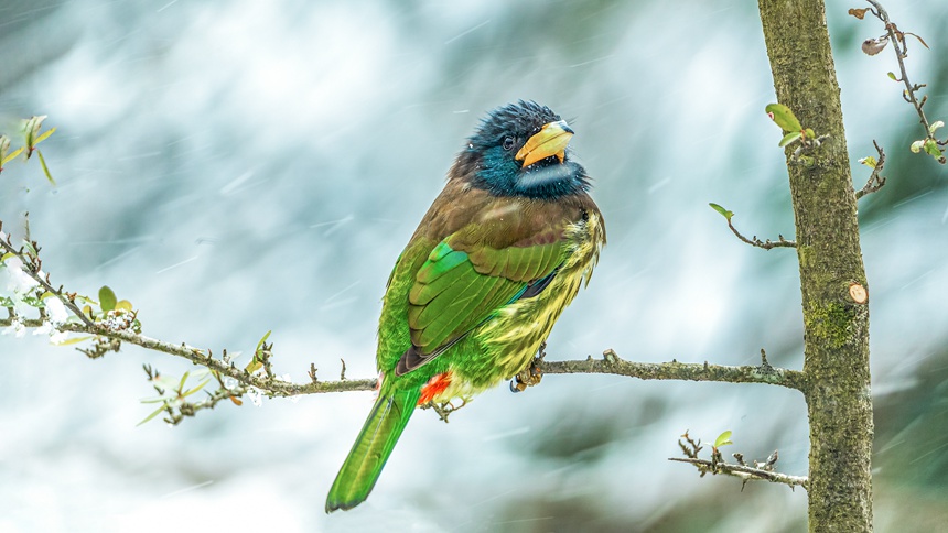 �ؑc���ϴ��^(q��)ɽ��ƺ�(zh��n)�R�δ��Ĕz�Ĵ�M��ľ�B��������z