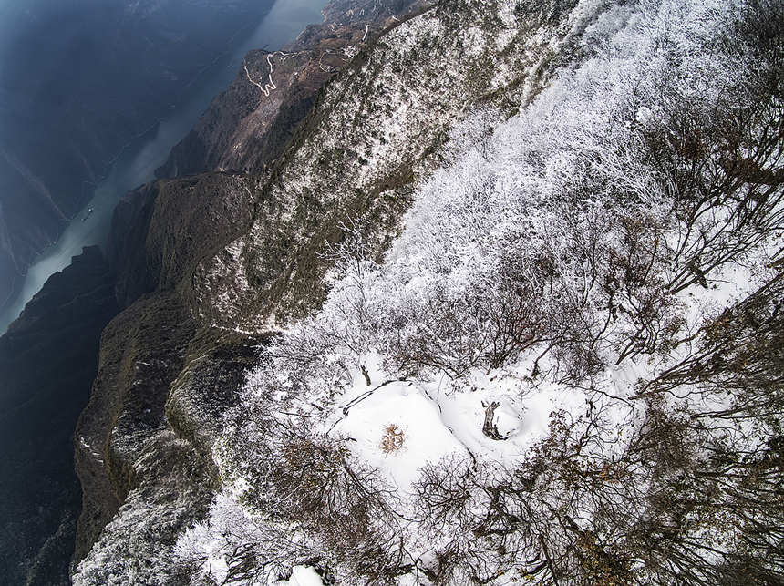 �׍{��ѩ�����������z