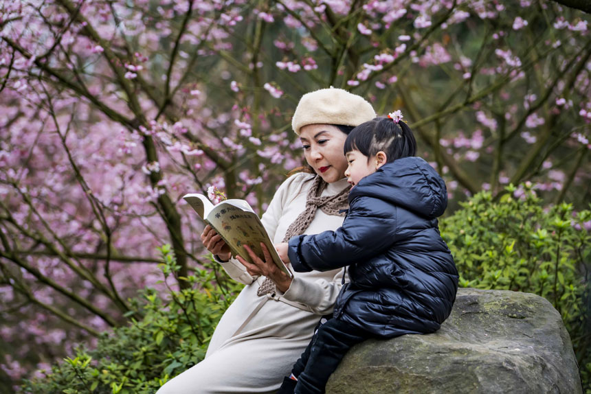 ��ɽֲ��@�ѻ���(j��ng)��`�������������ο�ǰ�����^�p���S�M(j��n)�z