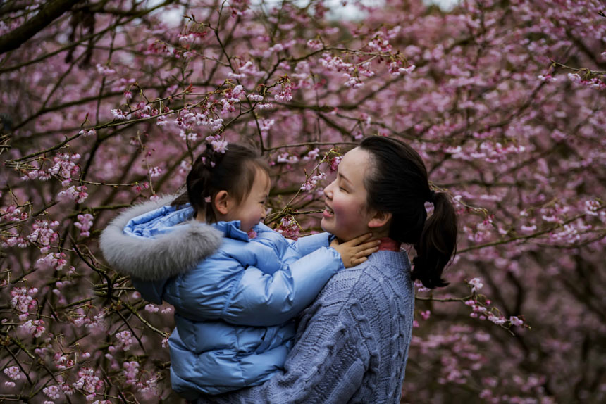 ��ɽֲ��@�ѻ�����`�������������ο�ǰ�����^�p���S�M�z