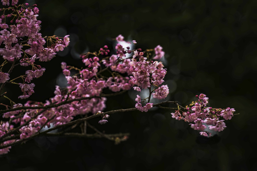 �紺���£���ɽֲ��@�ѻ��ڳ�����ů��£��M��`�����S�M�z