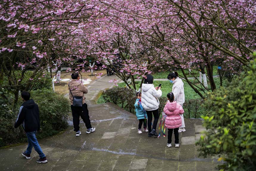 ��ɽֲ��@�ѻ�����`�������������ο�ǰ�����^�p���S�M(j��n)�z