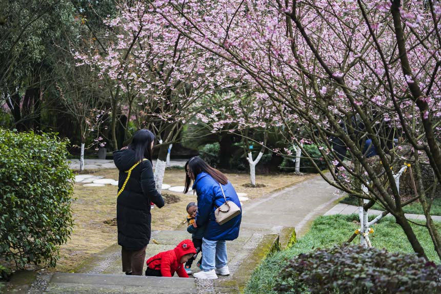 ��ɽֲ��@�ѻ���(j��ng)��`�������������ο�ǰ��(l��i)���^�p���S�M(j��n)�z