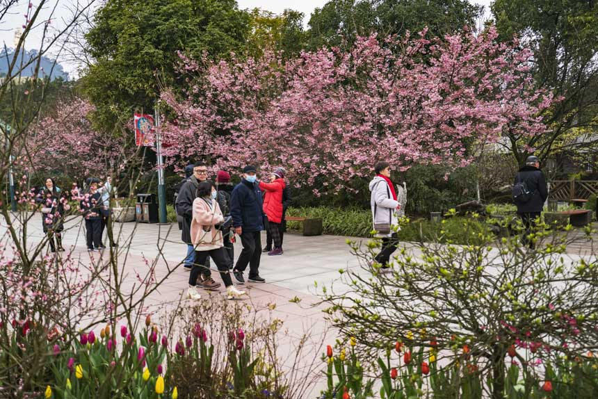 ��ɽֲ��@�ѻ�����`�������������ο�ǰ�����^�p���S�M�z