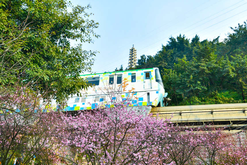 2��15�����ؑc܉����܇�����ڻ������u���z