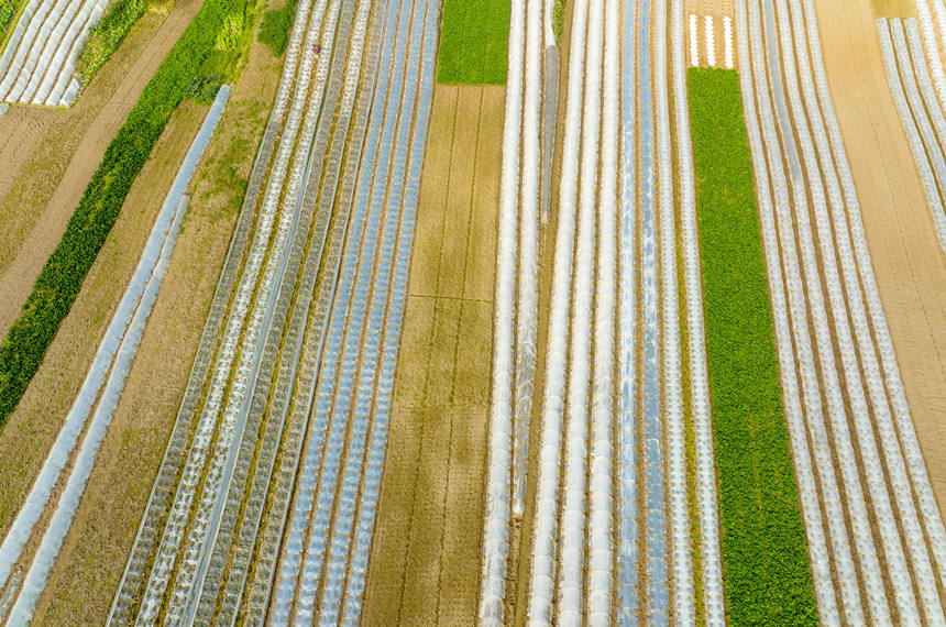 �ؑc���ϴ��д����ץ�r(n��ng)�r�_չ�������N�����o(j��)�ؔz