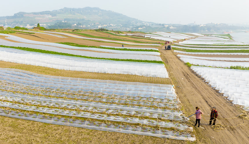 �ؑc���ϴ��д����ץ�r(n��ng)�r�_չ�������N�����o(j��)��?c��i)z