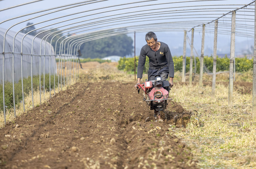 �ؑc���ϴ��д����ץ�r(n��ng)�r(sh��)�_չ�������N�����o(j��)��?c��i)z