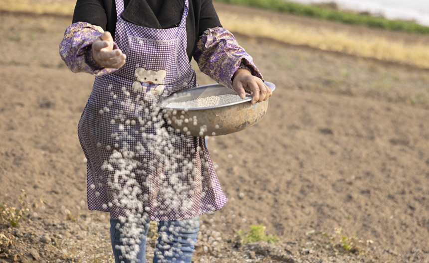 �ؑc���ϴ��д����ץ�r(n��ng)�r(sh��)�_(k��i)չ�������N�����o(j��)��?c��i)z