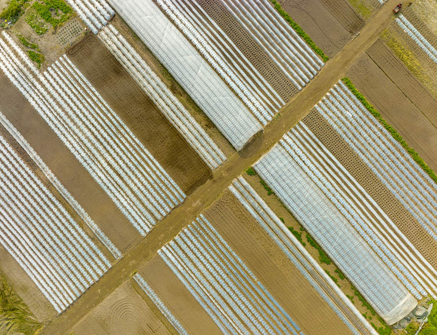 �ؑc���ϴ��д����ץ�r(n��ng)�r(sh��)�_(k��i)չ�������N�����o(j��)��?c��i)z