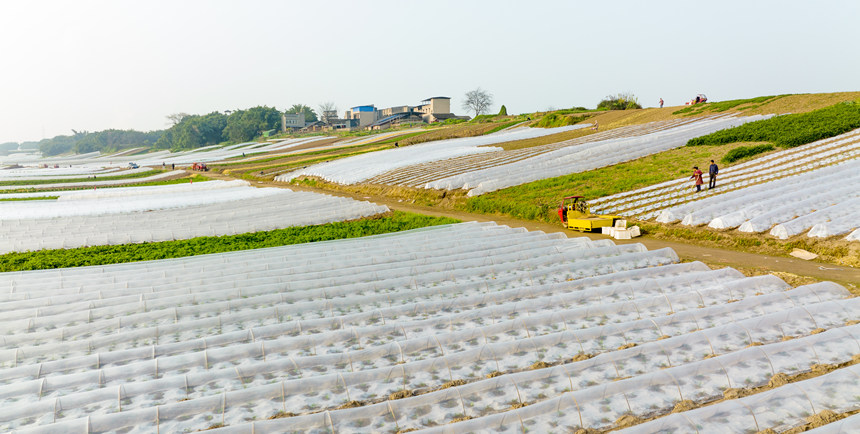 �ؑc���ϴ��д����ץ�r(n��ng)�r(sh��)�_չ�������N�����o(j��)��?c��i)z