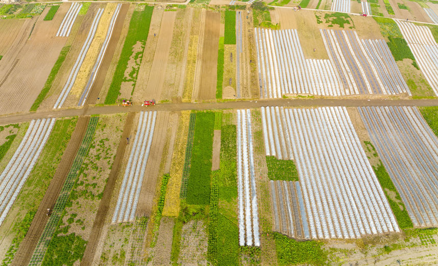 �ؑc���ϴ��д����ץ�r(n��ng)�r(sh��)�_չ�������N�����o(j��)��?c��i)z