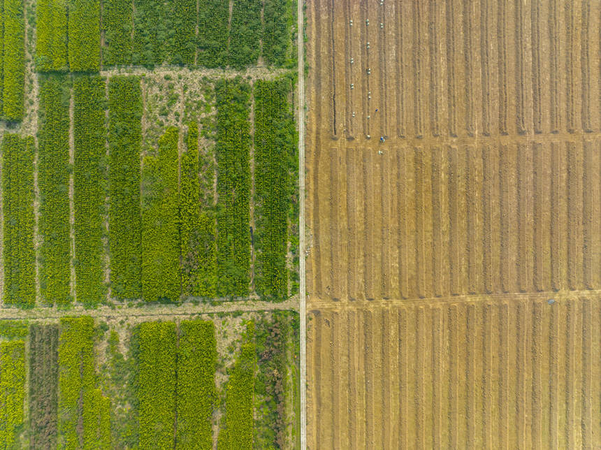 �ؑc���ϴ��д����ץ�r(n��ng)�r(sh��)�_չ�������N�����o(j��)��?c��i)z