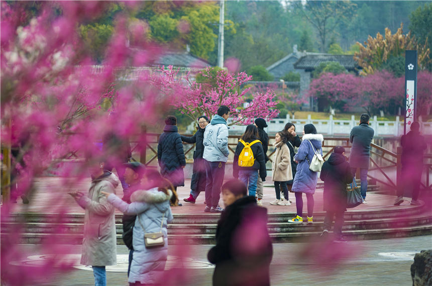 ÷���@��(n��i)��÷����m(x��)�`���������˲����ο�Ľ�������������z