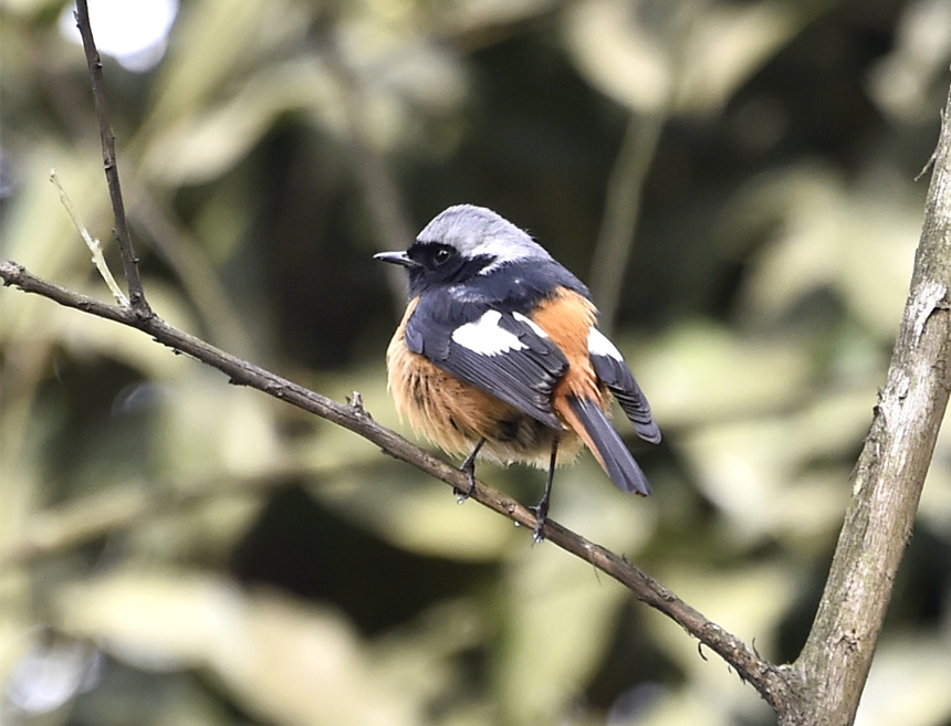 �o�o�ȴ���ů���_���S�Ӕz