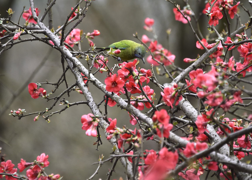 վ֦�^��(b��o)�����S�Ӕz