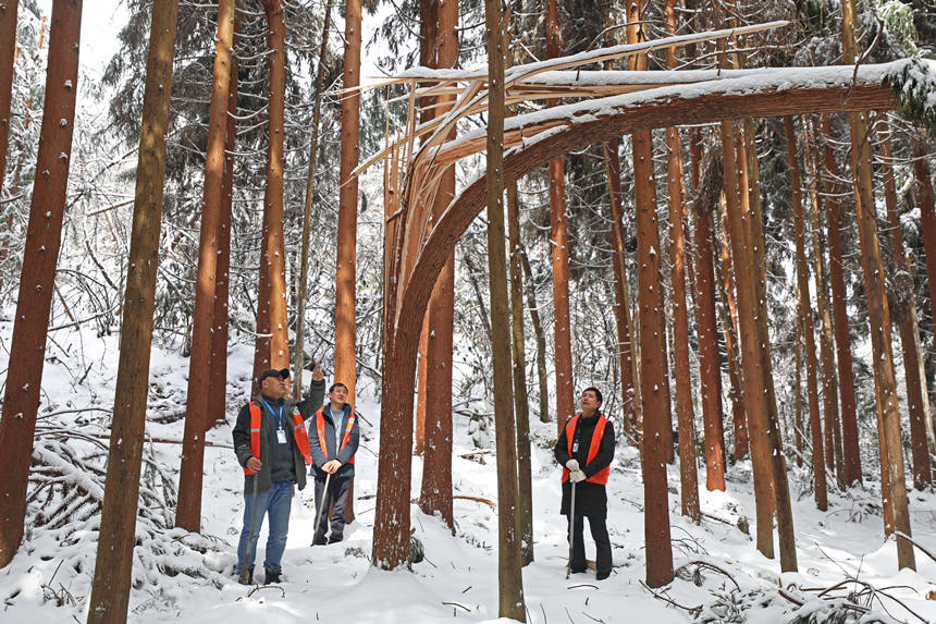 3���o�ֆT�鿴���eѩ�����Ę�ľ���w�z