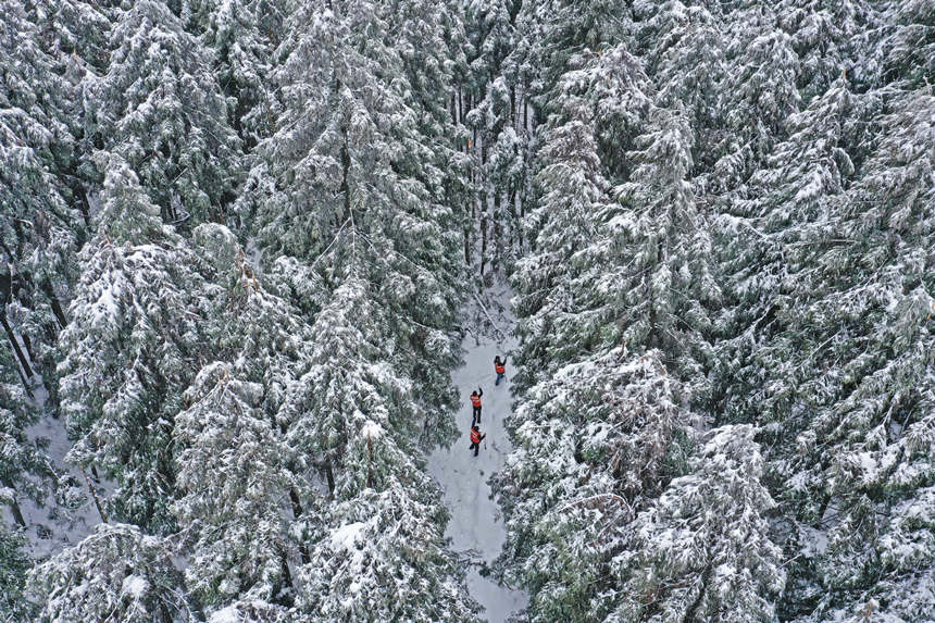 3���o(h��)�ֆTð���eѩ���օ^(q��)Ѳ�����w�z