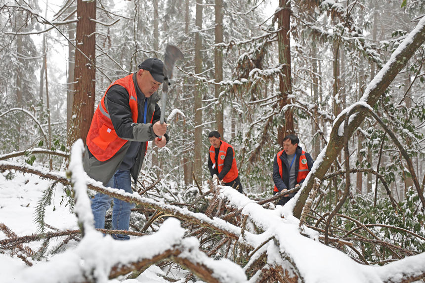 �o(h��)�ֆT�����օ^(q��)��ȫ���w�z